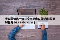 青岛国信水产vs辽宁本钢盘口分析{球探足球比分 bf.588bo.com }